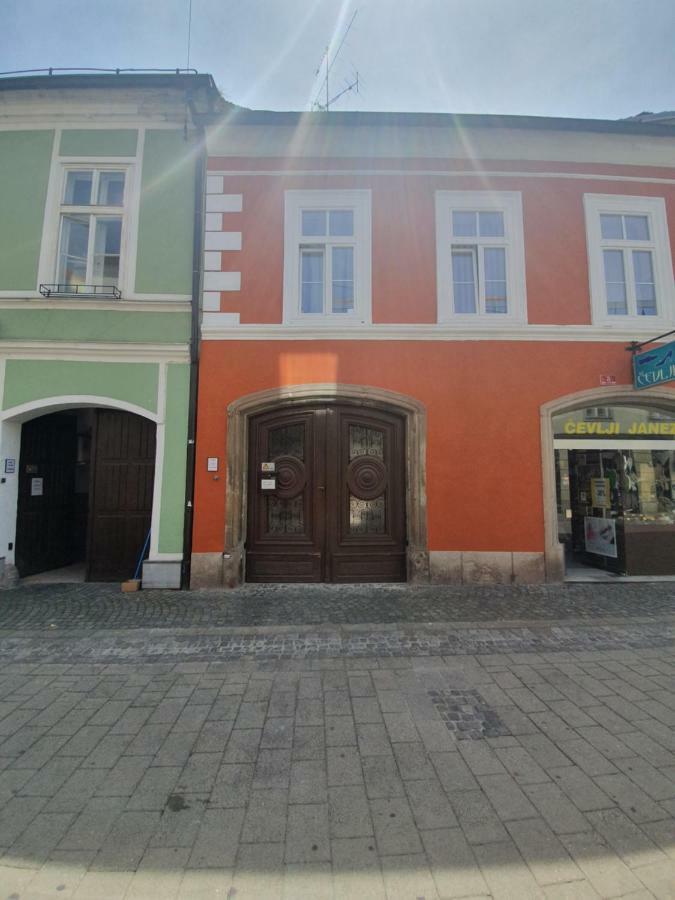 Luxory Apartment The Soul Of City Maribor Eksteriør bilde